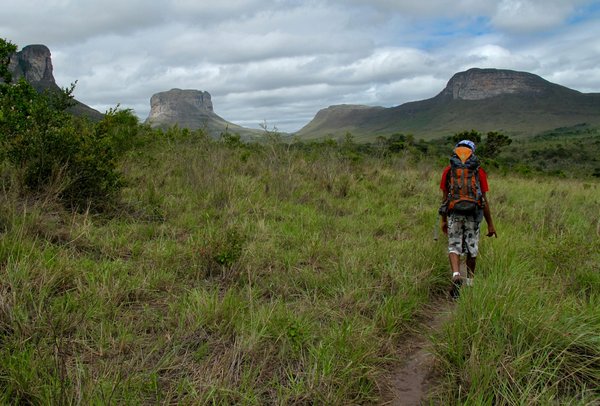 Où pratiquer le snorkeling au milieu des raies manta à Hawaii ?