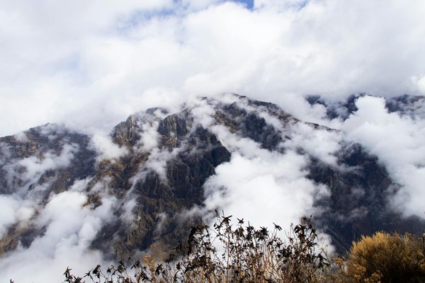 Où pratiquer le snorkeling au milieu des raies manta à Hawaii ?