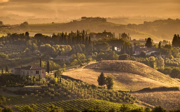 Où trouver une location de vacances en Toscane avec des cours de peinture et des visites de vignobles?